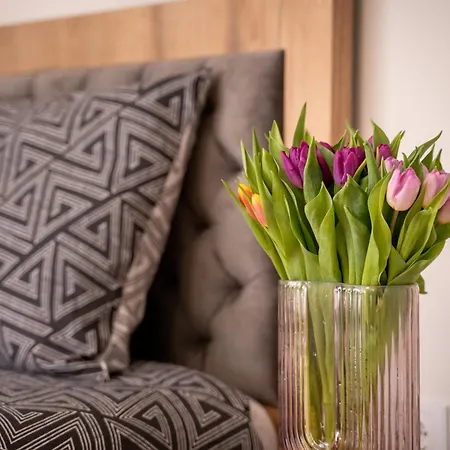 Wow For Rent 2 Bul Montevideo 25a - B Apartamento Sófia