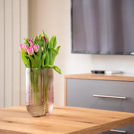 Apartamento Wow For Rent 2 Bul Montevideo 25a - B Sófia