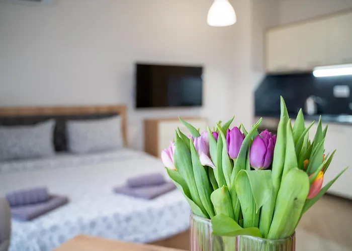 Wow For Rent 2 Bul Montevideo 25a - B Apartament Sofia